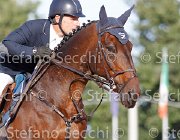 Paini Rosa Cocktail GioCav2013 S6 7675 : Campionati Italiani Giovani Cavalli, Cattolica, Paini Paolo, Rosa Cocktail, ph Stefano Secchi ©